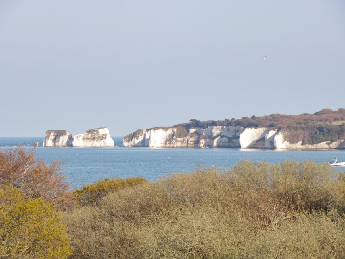 Bluebell Apartment Swanage Zewnętrze zdjęcie
